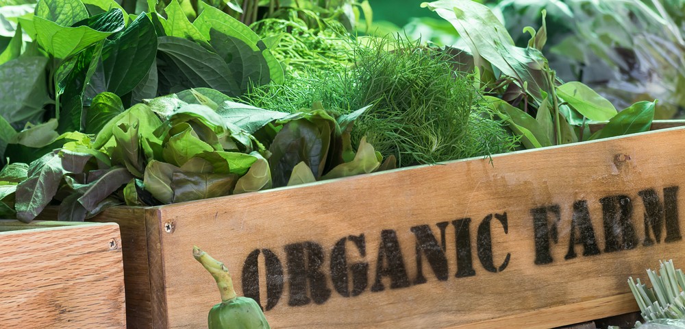 organic foods