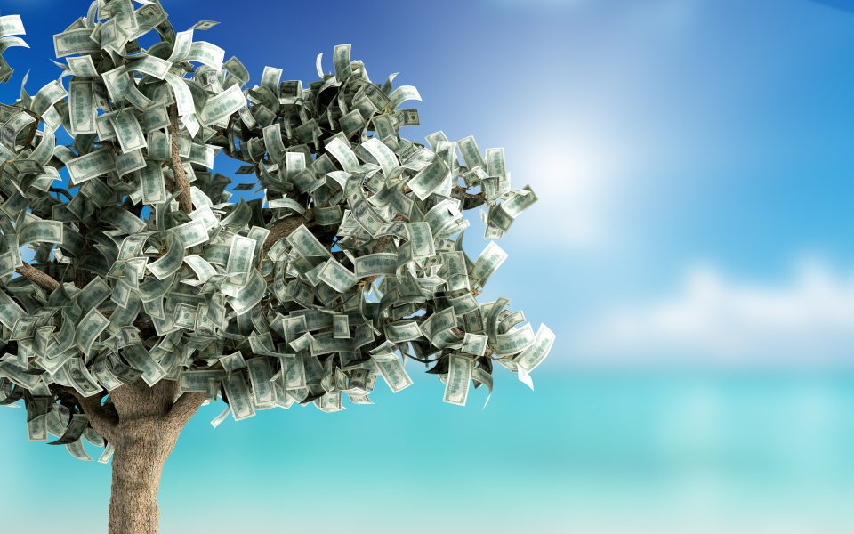 money tree